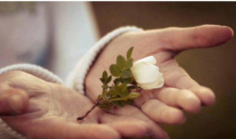 موضوع انشا در مورد افراد مهربان و ویژگی‌های آنان