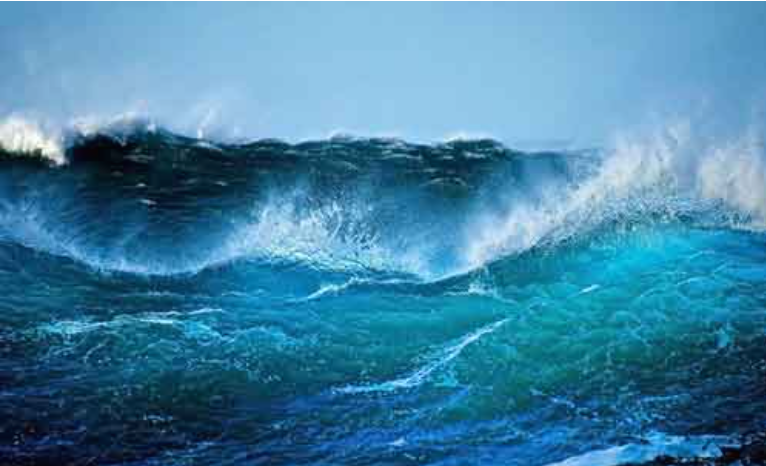 موضوع انشا درباره زندگی موجودات آبزی در اعماق دریاها