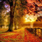 نگارش مقاله با موضوع روزهای فصل پاییز