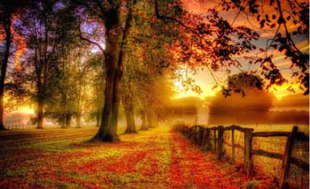 نگارش مقاله با موضوع روزهای فصل پاییز