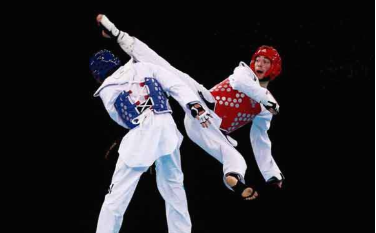 موضوع انشا درباره ورزش‌های رزمی در سراسر جهان