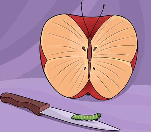 موضوع انشا ترسهای درست و منطقی موضوع انشا ترسهای درست و منطقی