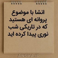 انشای دانش‌آموزی: پروانه‌ای که در تاریکی شب نور پیدا کرد
