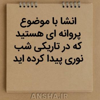 انشای دانش‌آموزی: پروانه‌ای که در تاریکی شب نور پیدا کرد