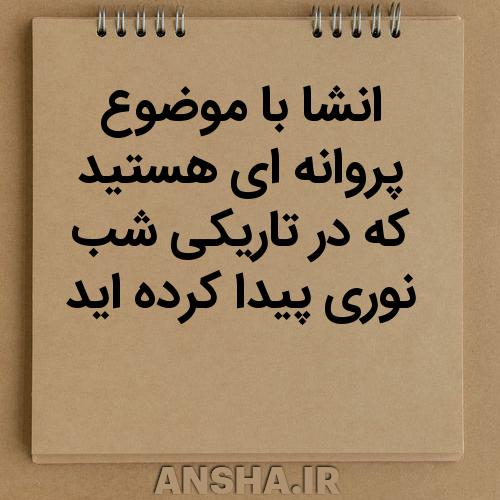 انشای دانش‌آموزی: پروانه‌ای که در تاریکی شب نور پیدا کرد
